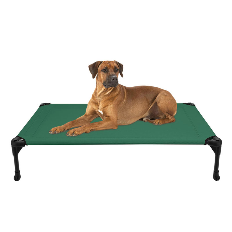 Portable dog cot clearance